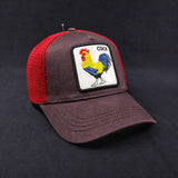 Pack Jockey Cock + Lente Furias Polarizado