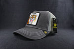 Jockey | Goorin Bros Tiger - SyE Esencia Estilo